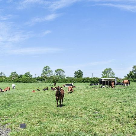 Green Acre Farm 엘리 외부 사진