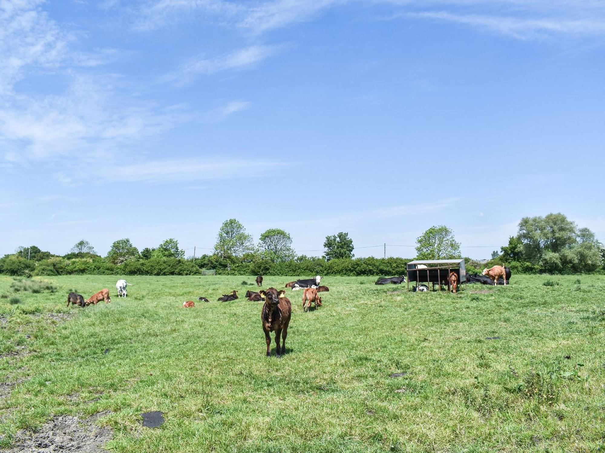 Green Acre Farm 엘리 외부 사진